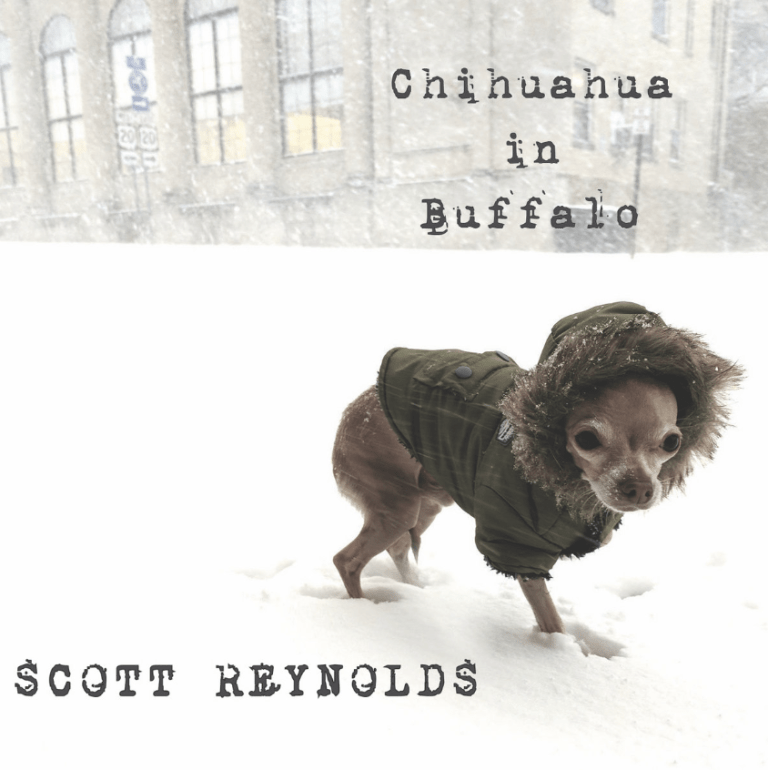 New Music Review: Scott Reynolds’ Chihuahua in Buffalo